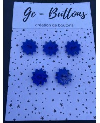 tournesol bleu
