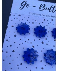 tournesol bleu